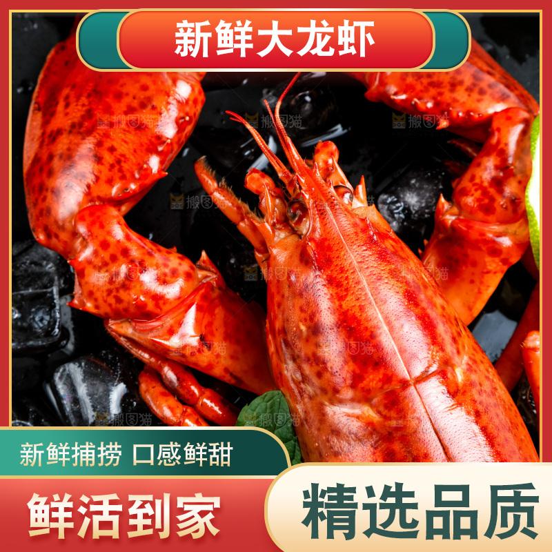 盘子里装着澳洲大龙虾