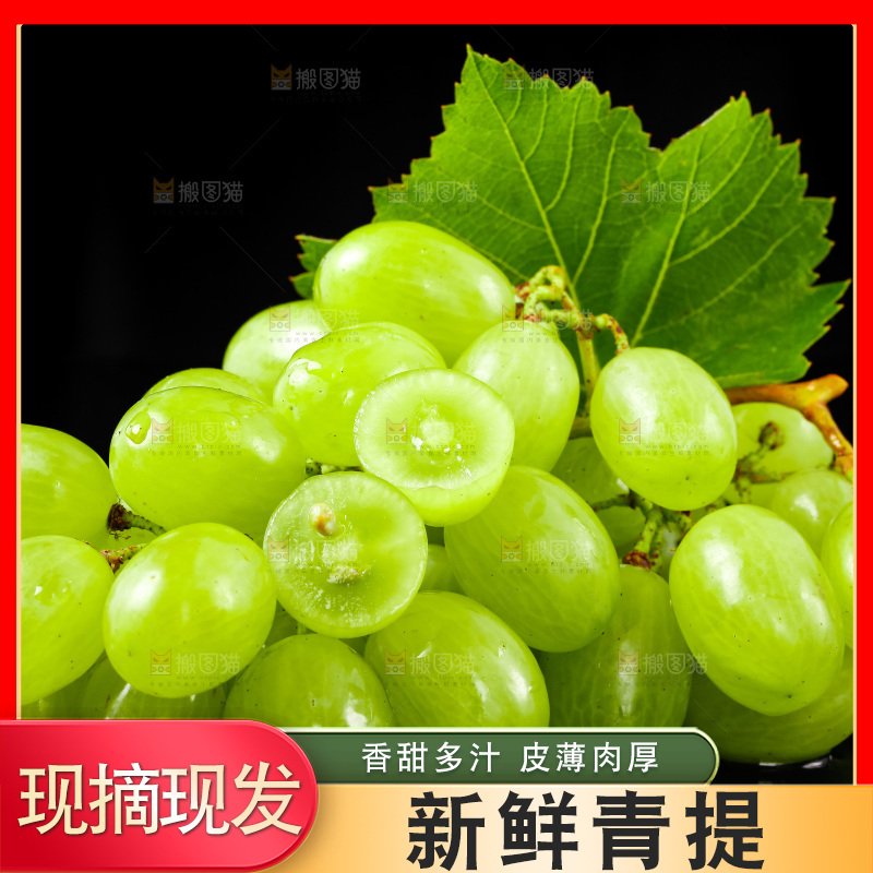 黑底上放着青提子