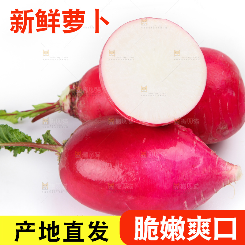 白底上的红萝卜