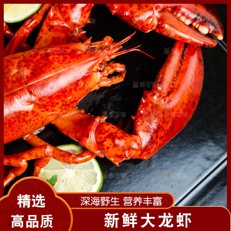 盘子里装着澳洲大龙虾