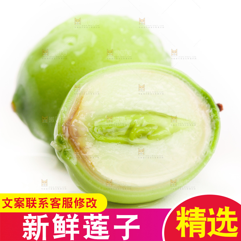 白底上的莲子