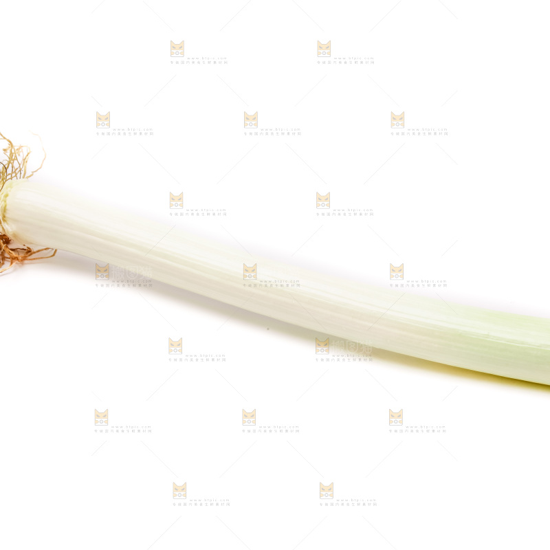 白底上的大葱