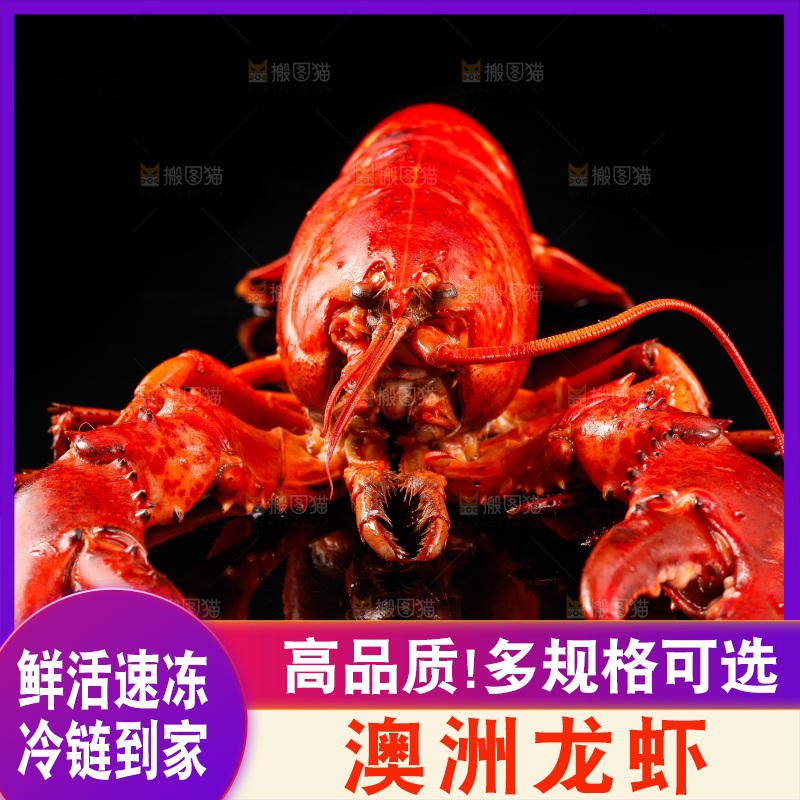 黑底上放着波士顿龙虾