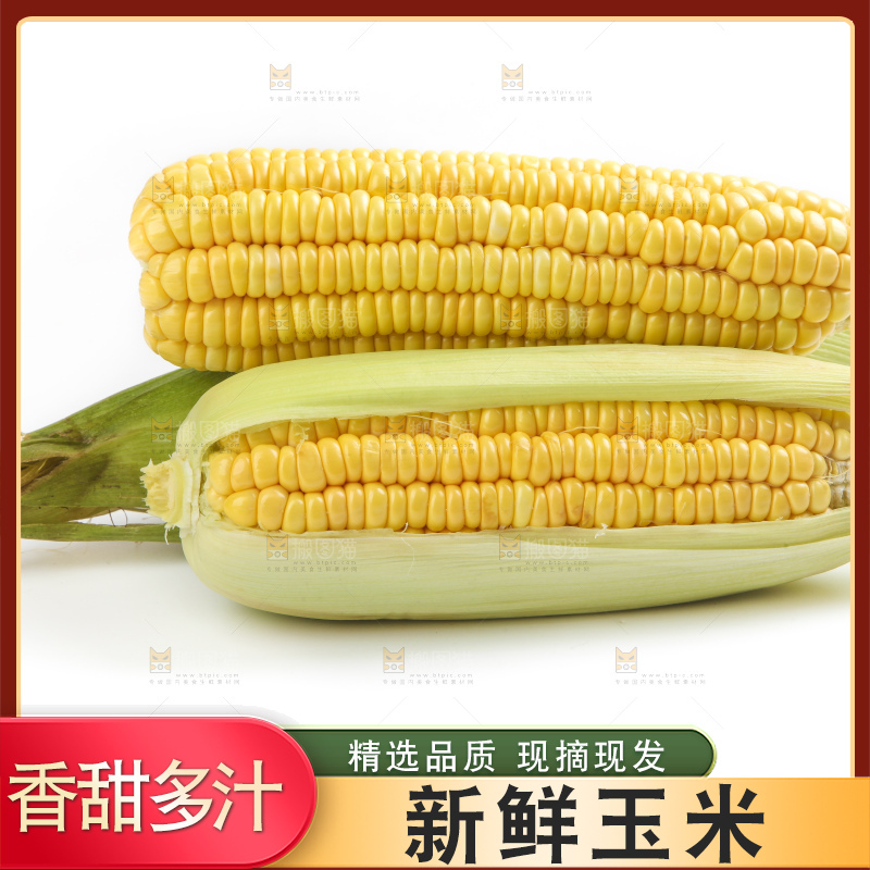 白底上放着黄玉米