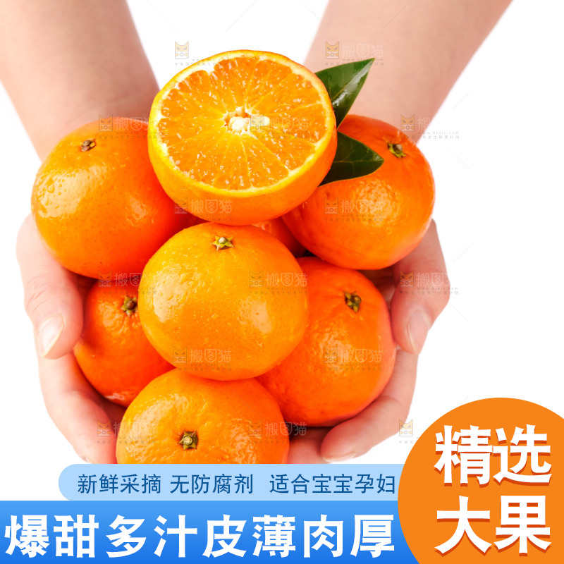 手里拿着新鲜沃柑