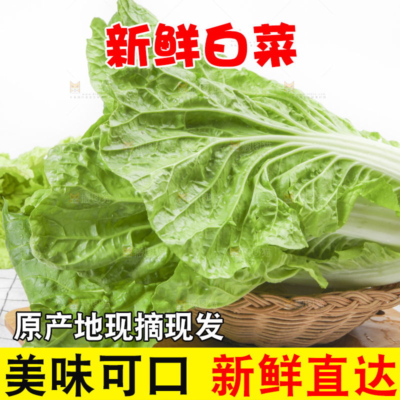 木板上的新鲜白菜