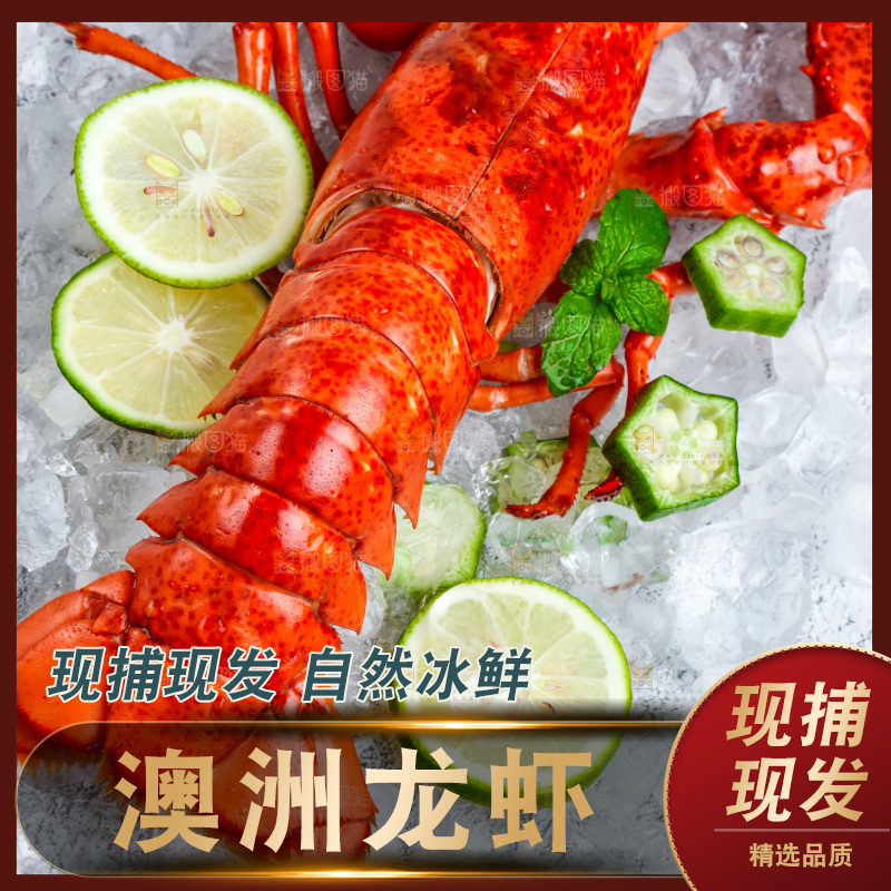 石板上的波士顿大龙虾
