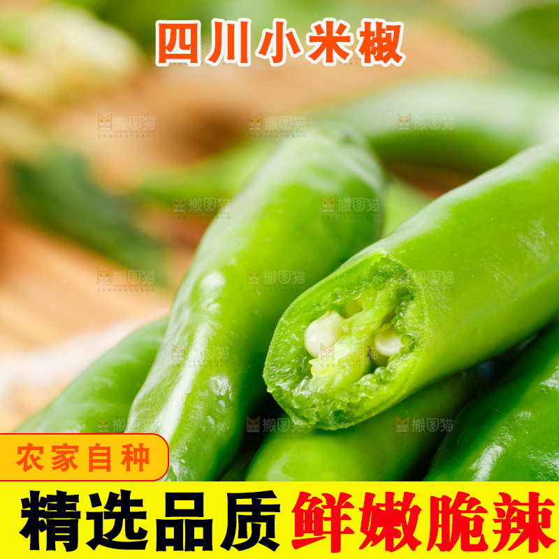 竹底上摆放着青米椒