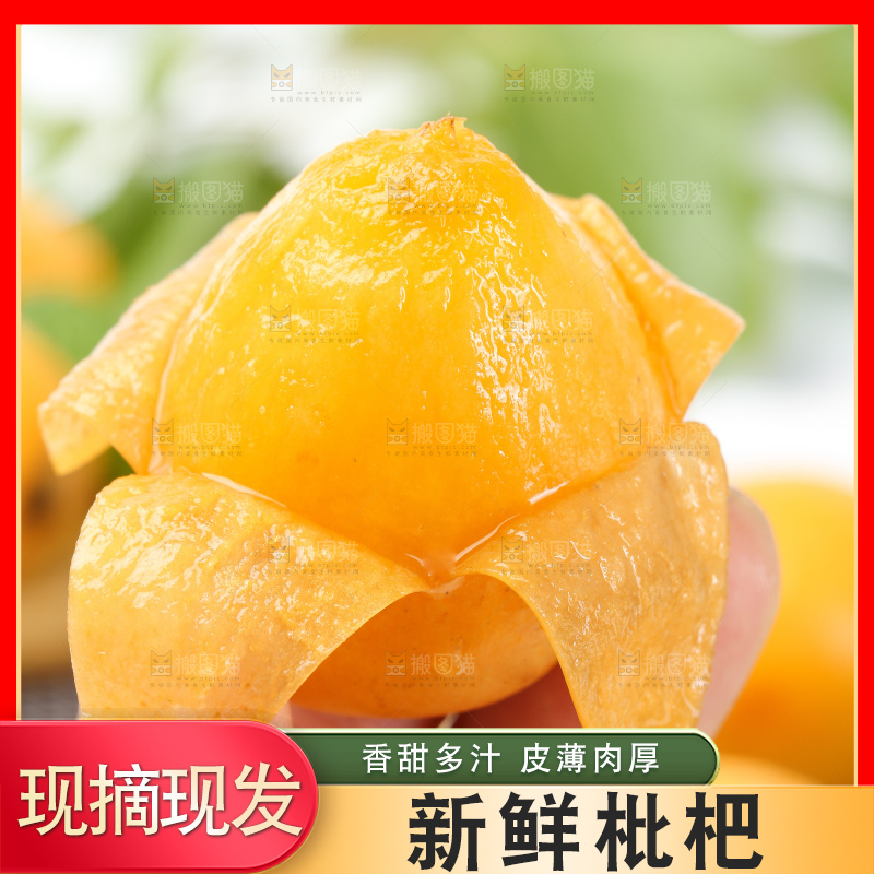 手里拿着新鲜枇杷
