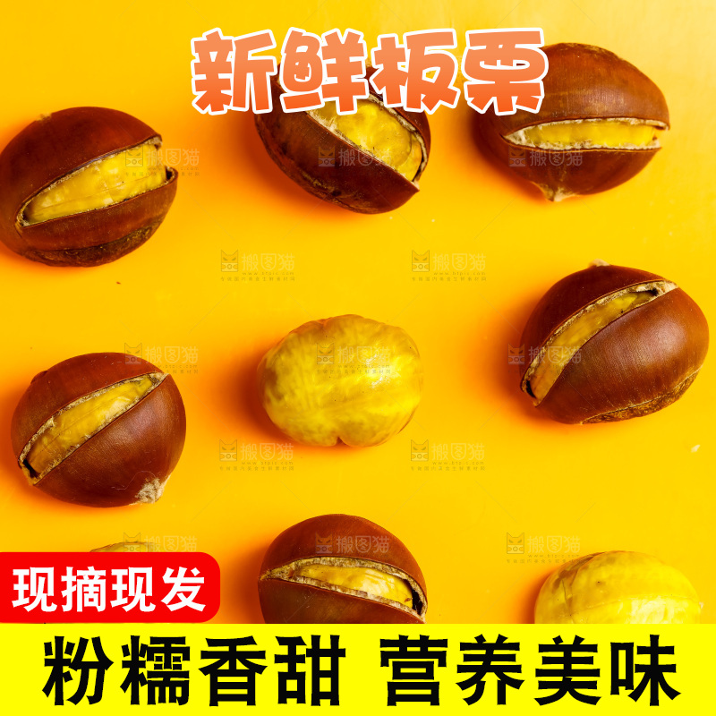 黄底上的迁西板栗