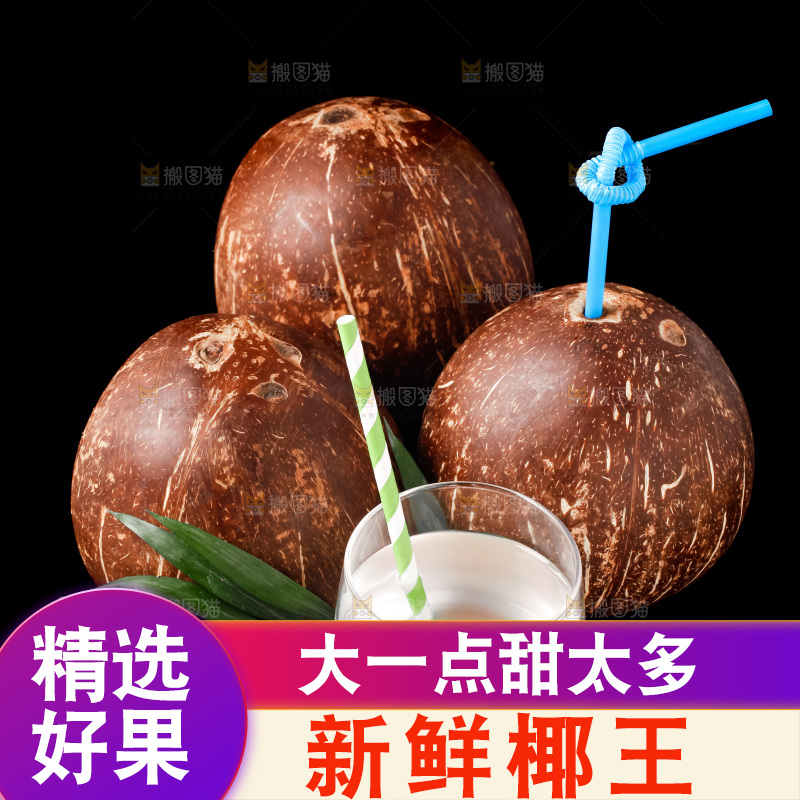 黑底上放着海南椰皇