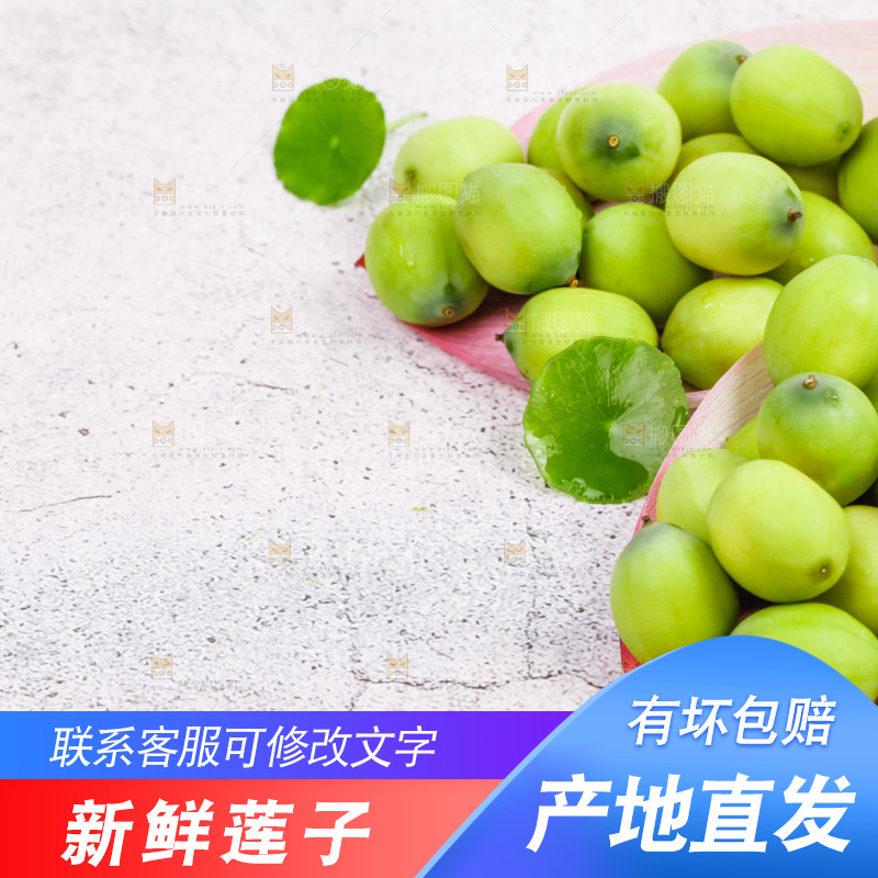 石板上的新鲜莲子