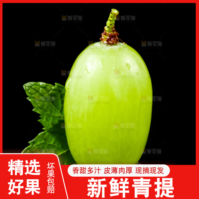 黑底上放着青提子