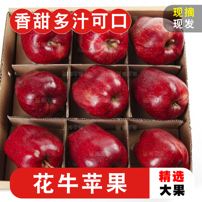箱子里装着甘肃花牛苹果