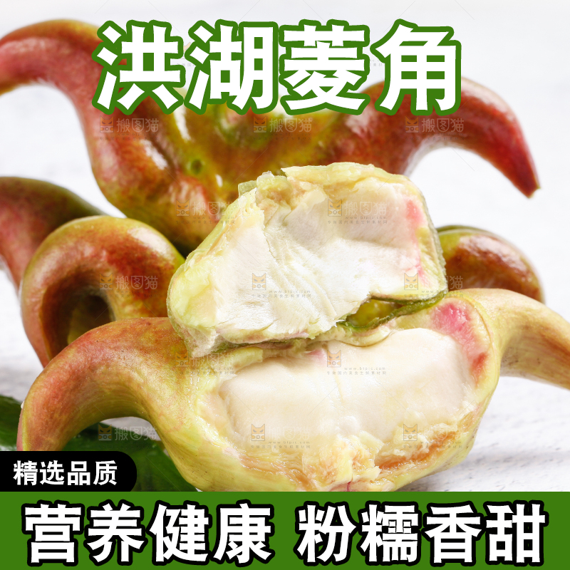 白底上的菱角