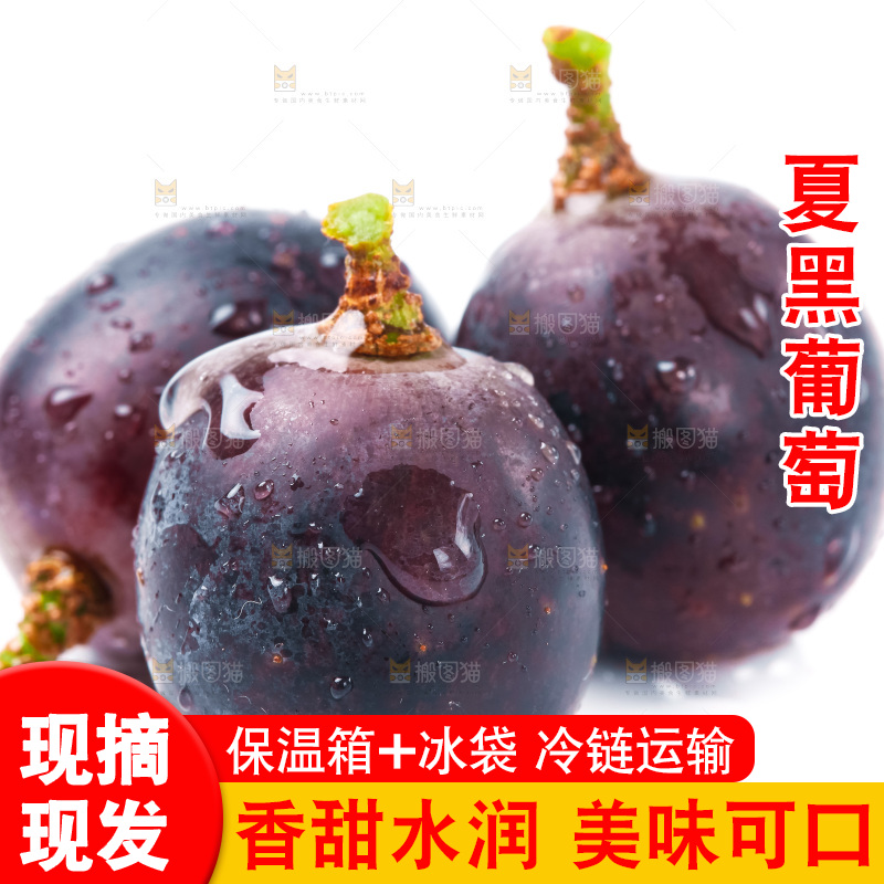 白底上放着云南夏黑葡萄