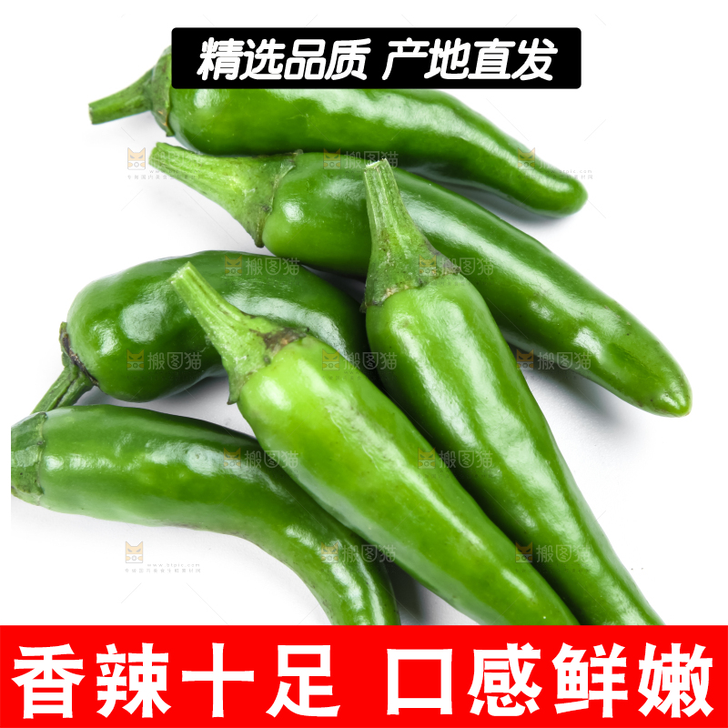 白底上摆放着广西小米椒