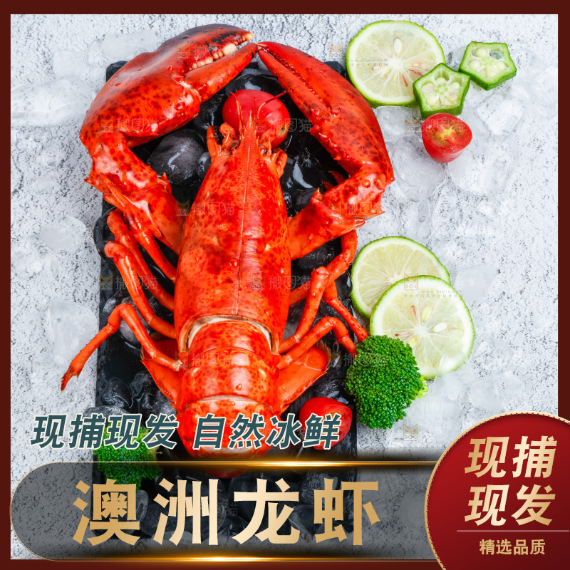 石板上的波士顿大龙虾
