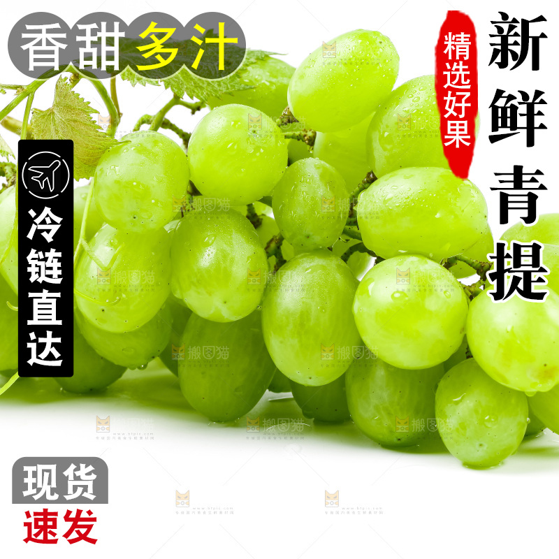 白底上的青提