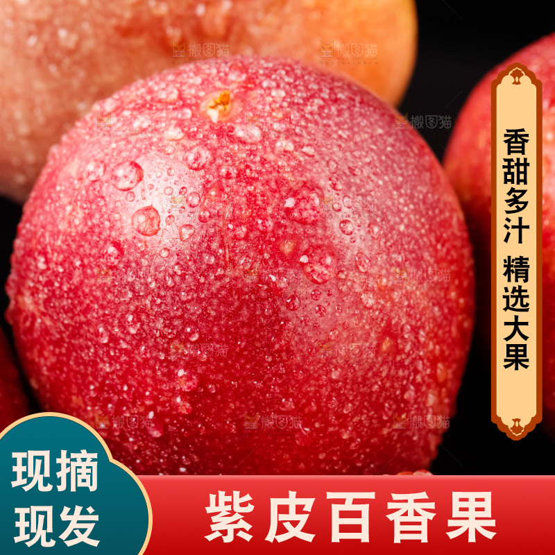 紫皮百香果放在黑底上