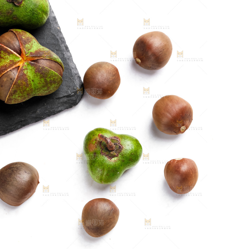 白底上放着茶树果