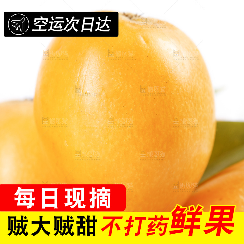 白底上的米易枇杷