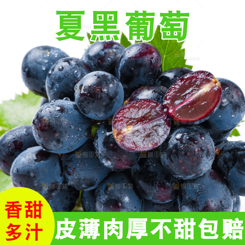白底上的夏黑葡萄