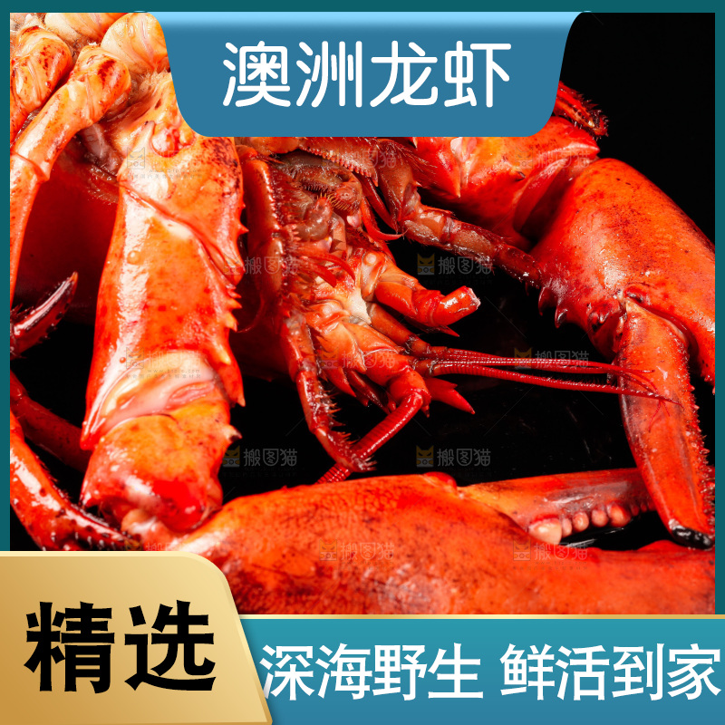 黑底上放着波士顿龙虾