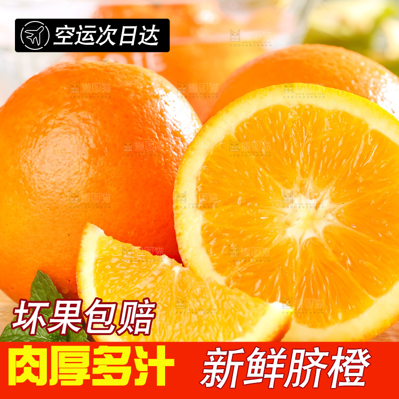 黄板子上的冰糖橙
