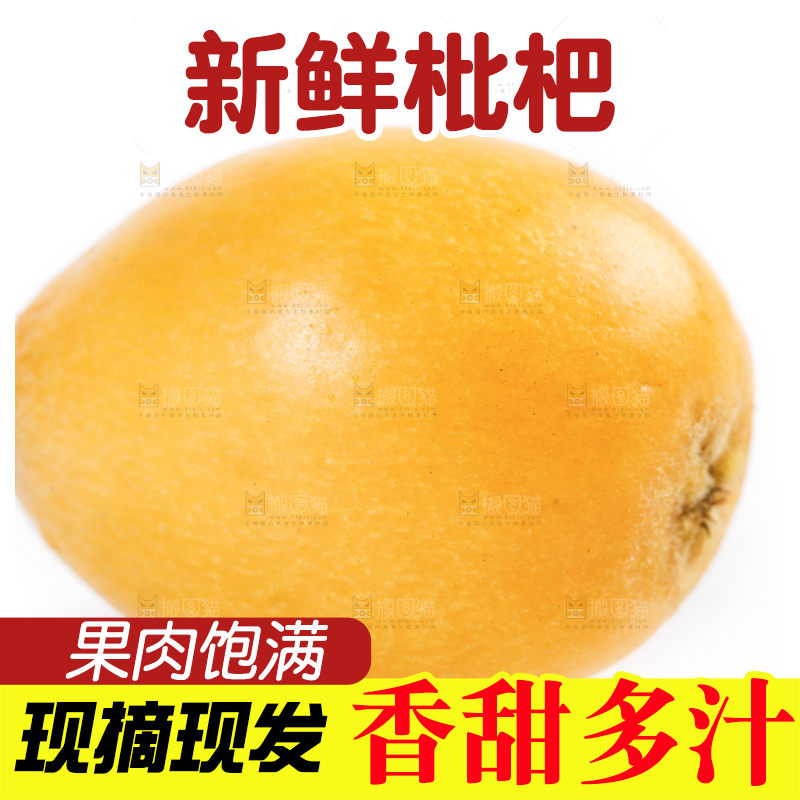 白底上的米易枇杷