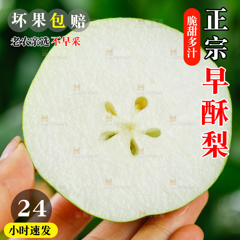 手拿切开的早酥梨