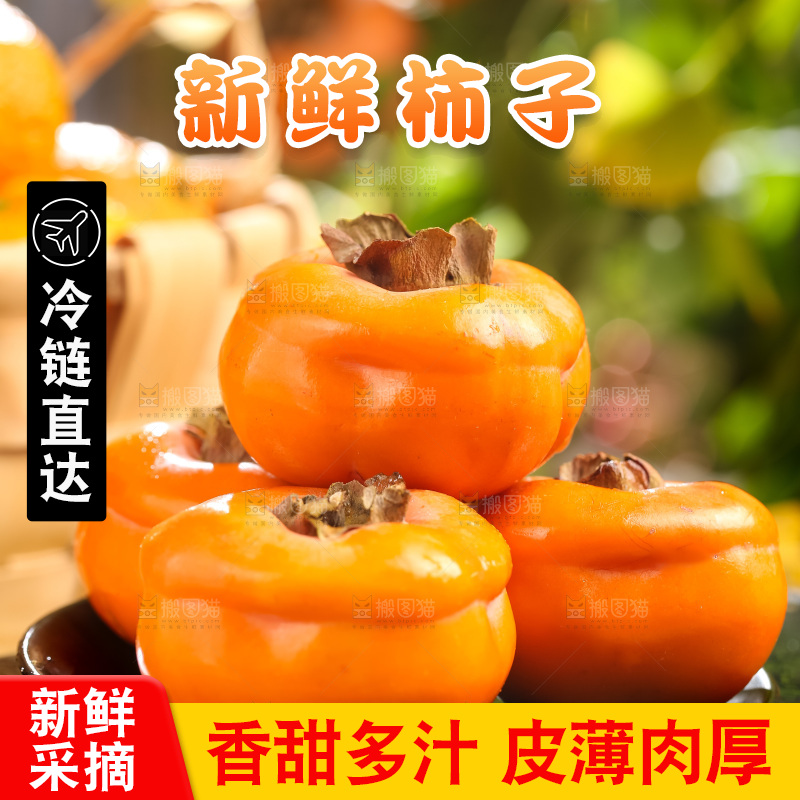 黑石板上放着易县磨盘柿