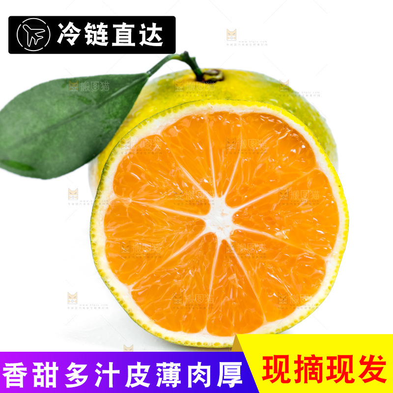 白底上放着云南蜜桔