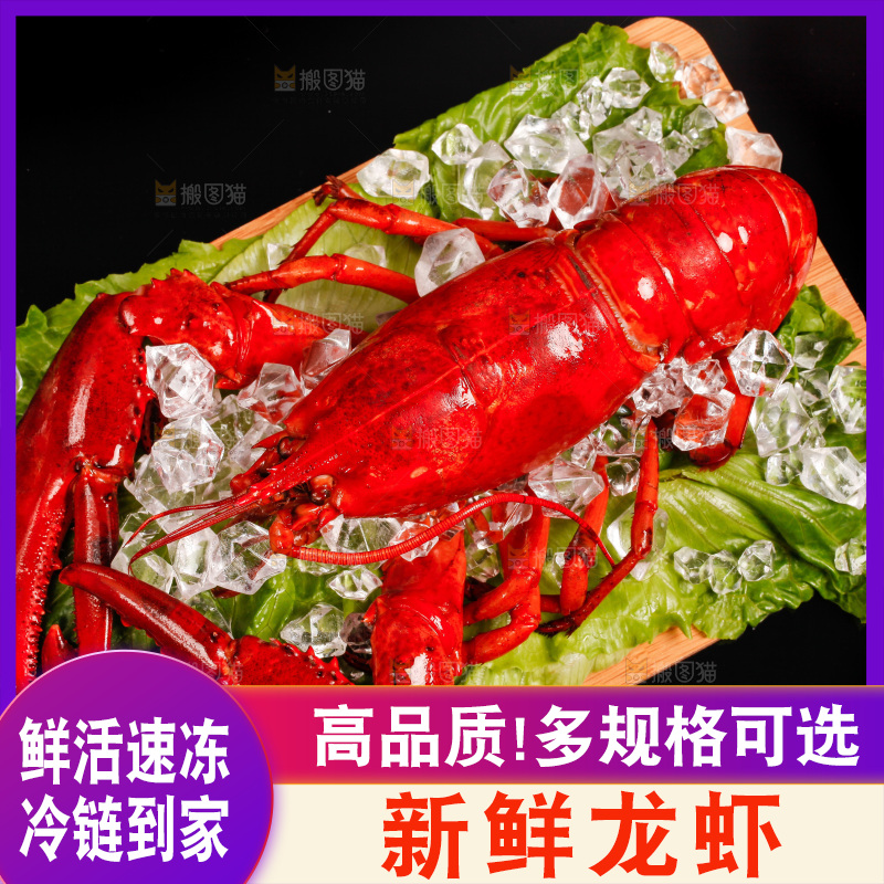 黑底上放着一盘澳洲大龙虾