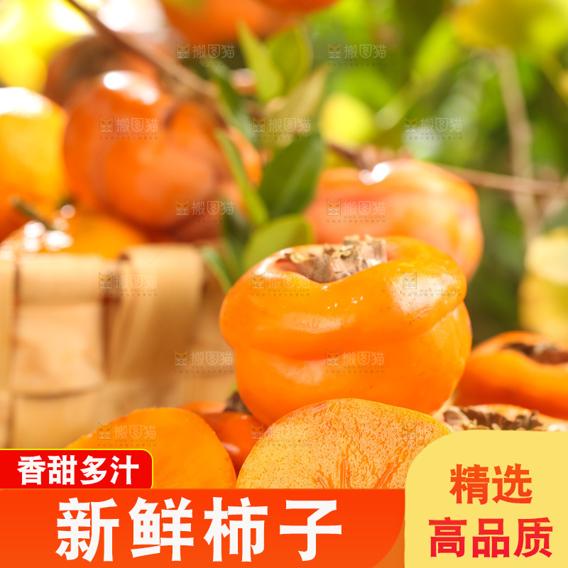 黑石板上放着易县磨盘柿