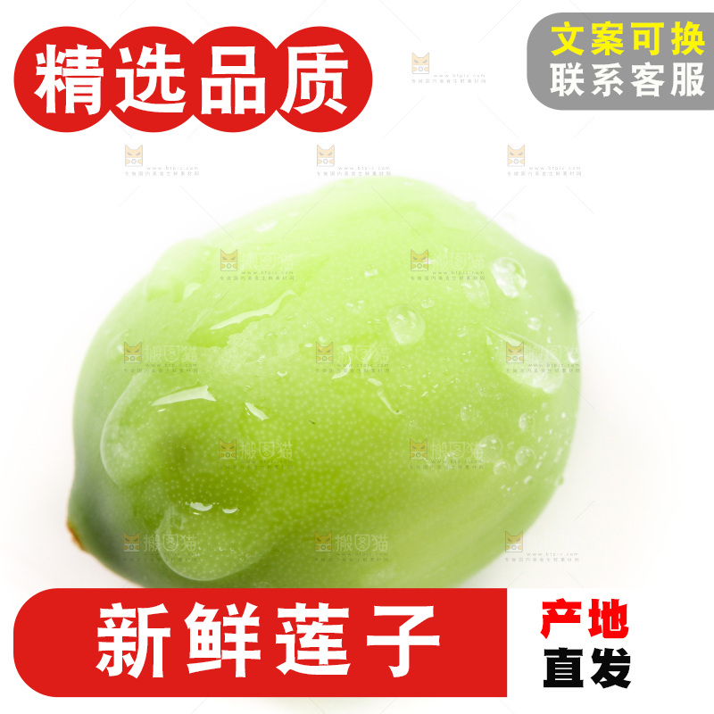 白底上的莲子
