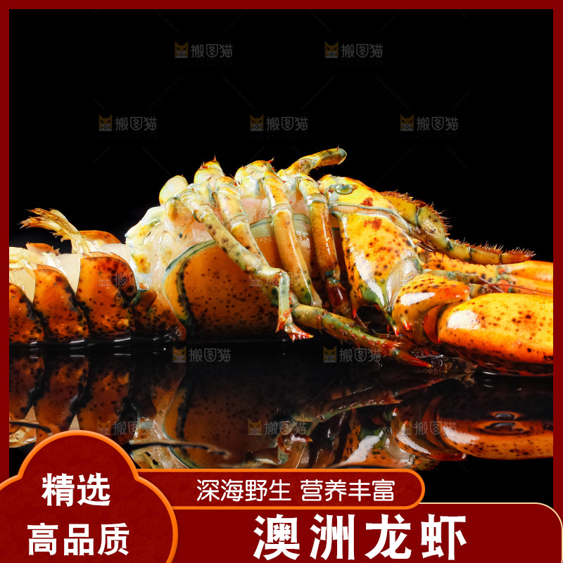 黑底上放着波士顿龙虾