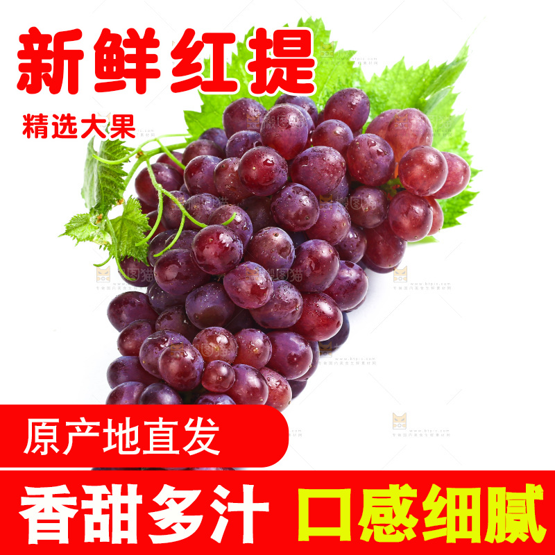 白底上的红提