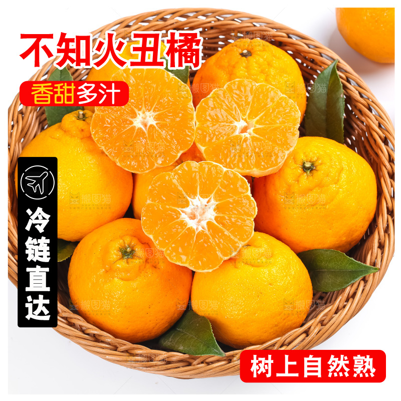 篮子里装着四川丑柑