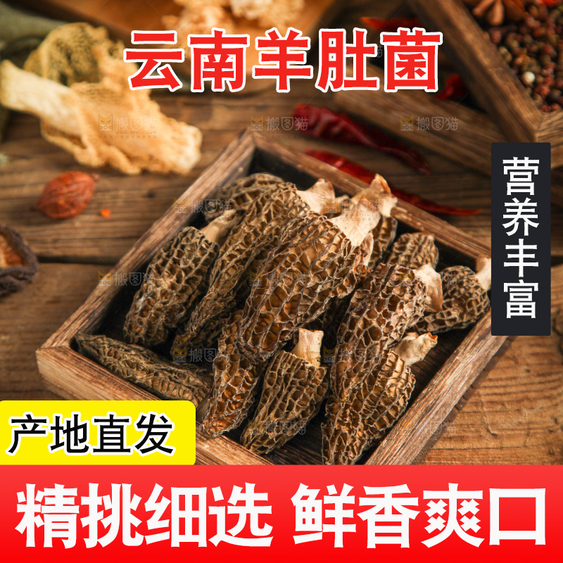 木底上的干羊肚菌