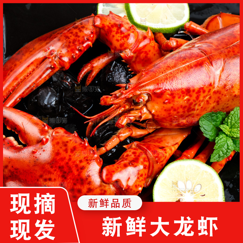 盘子里装着澳洲大龙虾