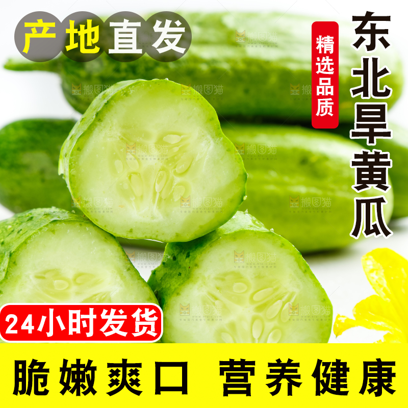 白底上放着新鲜旱黄瓜