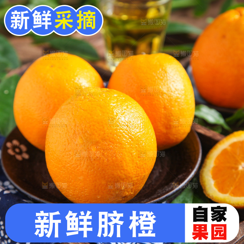 深底上放着一盘赣南脐橙