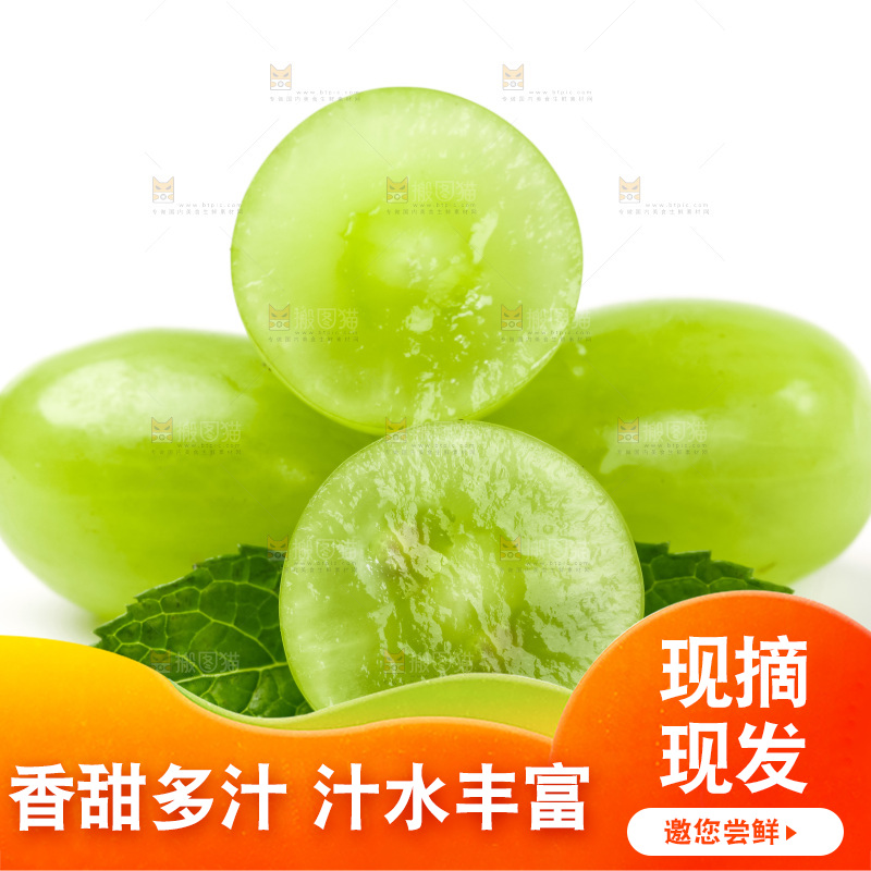 白底上的青提