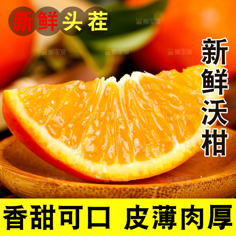 竹底上的四川沃柑
