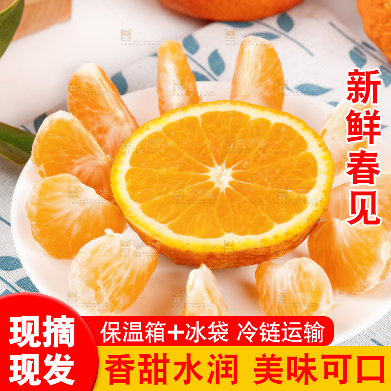 浅底上的春见耙耙柑