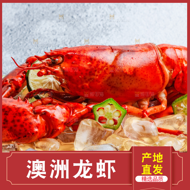 石板上的波士顿大龙虾