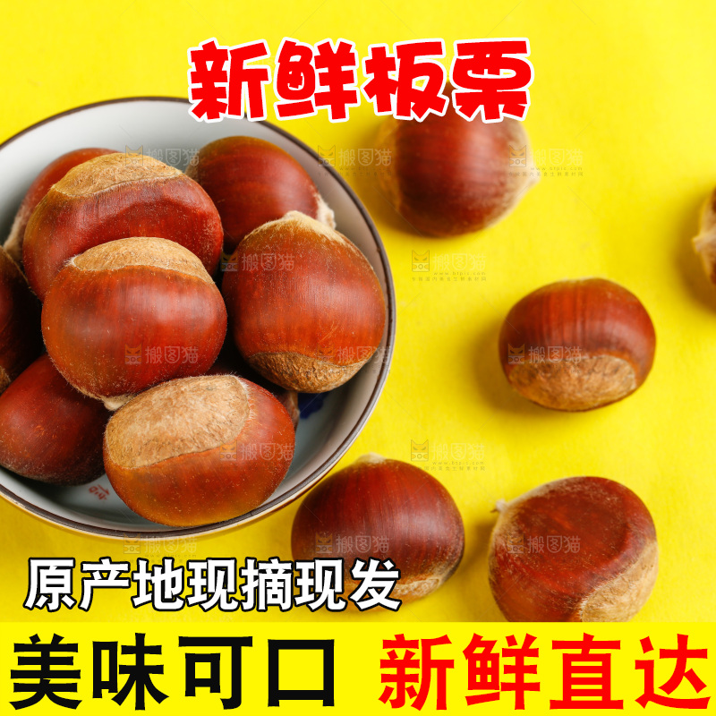 黄底上的迁西板栗
