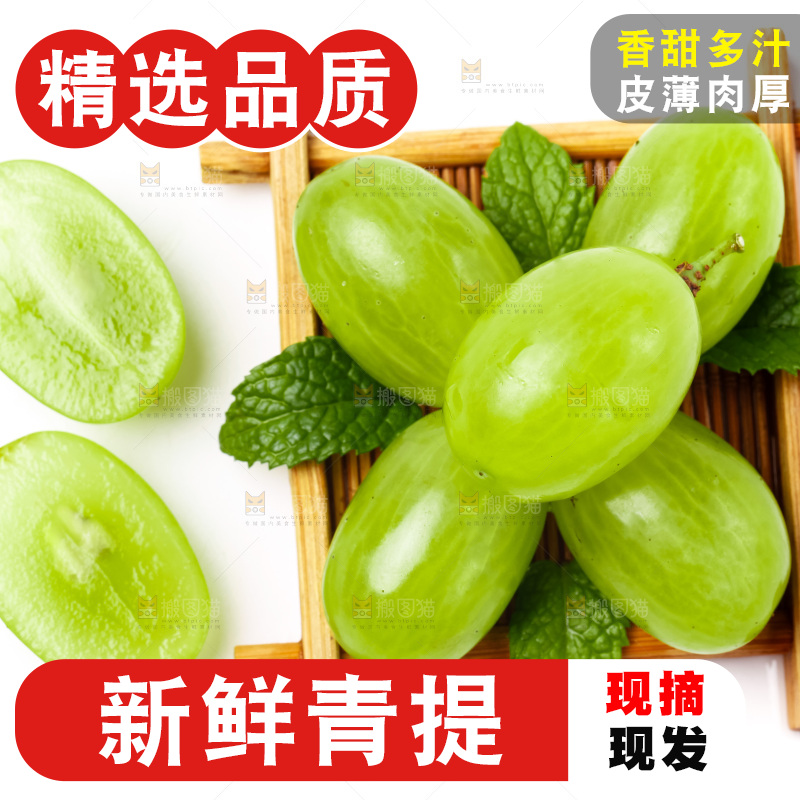 白底上放着一盘青提子
