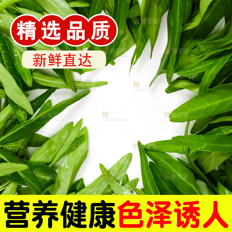 白底上放着新鲜空心菜